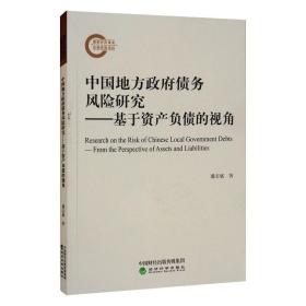 中国地方债务风险研究--基于资产负债的视角 财政金融 潘志斌 新华正版