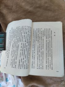 翻译小说，天才下册