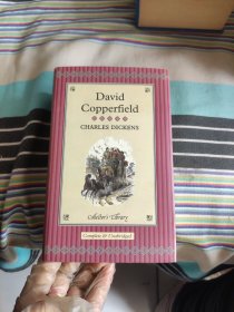 David Copperfield 大卫·科波菲尔（刷金）