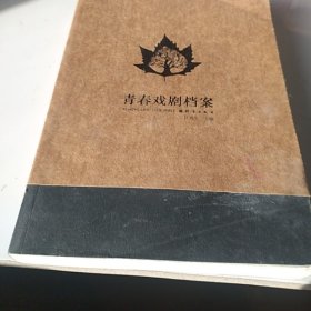 青春戏剧档案