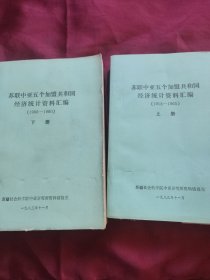 苏联中亚五个加盟共和国经济统计资料汇编（1913-1980）上下册