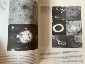 【英文原版】Memory in Neurodegenerative Disease 神经退行性疾病中的记忆