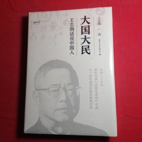 大国大民 王志纲话说中国人