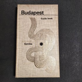 英文原版  Budapest guide book