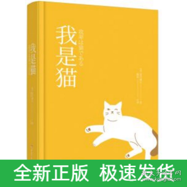 我是猫