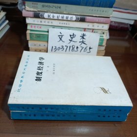 汉译世界学术名著丛书 制度经济学（全2册）