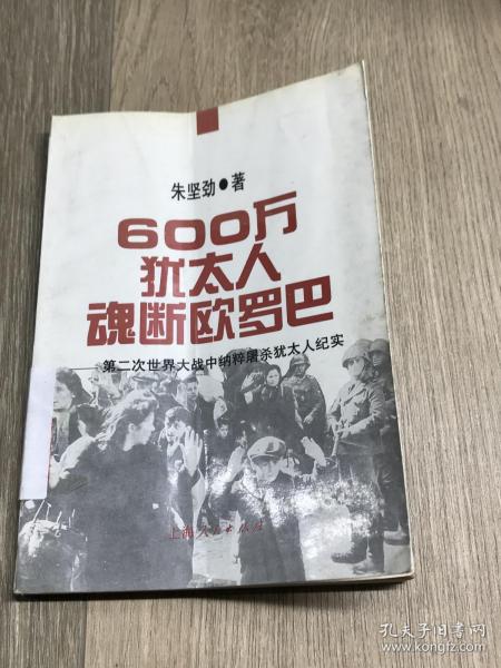 600万犹太人魂断欧罗巴：第二次世界大战中纳粹屠杀犹太人纪实