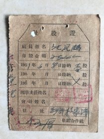 1951年 陕西省榆林市子洲县供销合作社 社股证