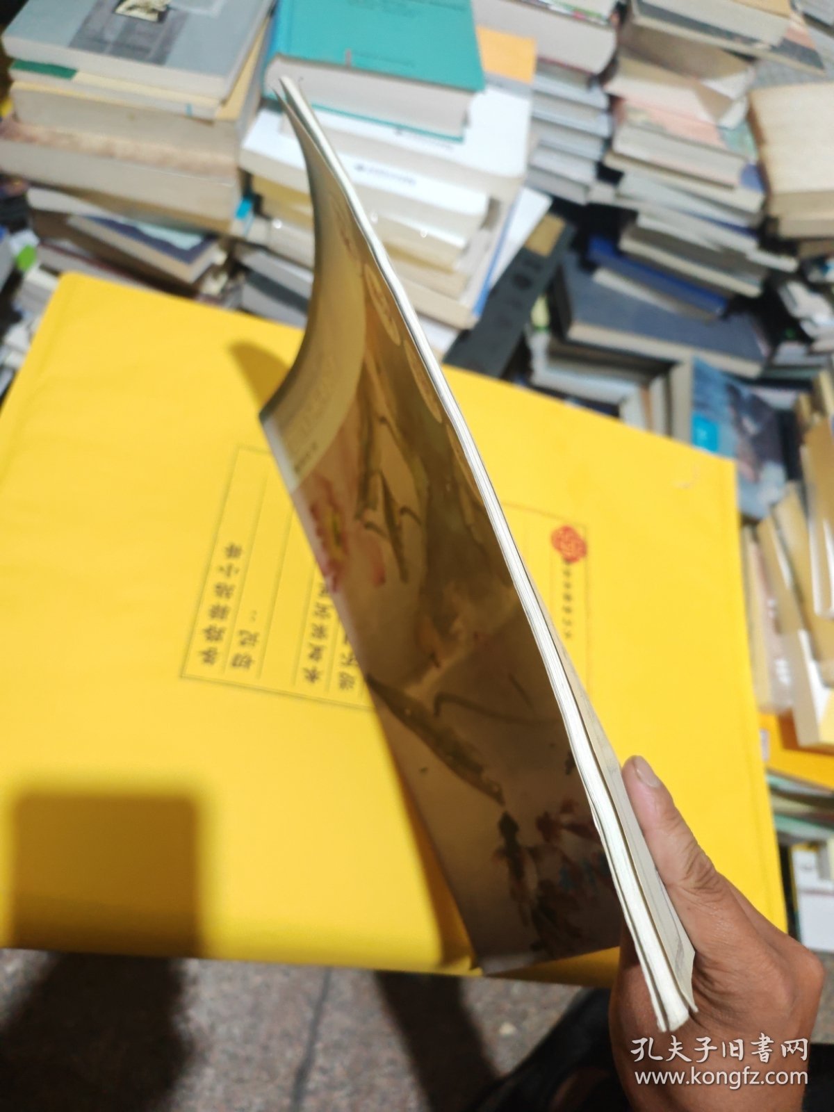 中国画技法：彩墨荷花画法
