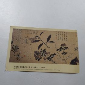 周之冕 百花图之二 实寄明信片