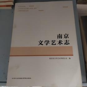 南京文学艺术志(精)