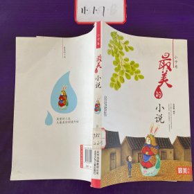 最美书系  小学卷 最美的小说