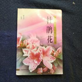 杜鹃花     包邮