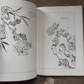 墨点字帖芥子园画谱（白话文版） 梅菊谱  正版梅花的画法学国画