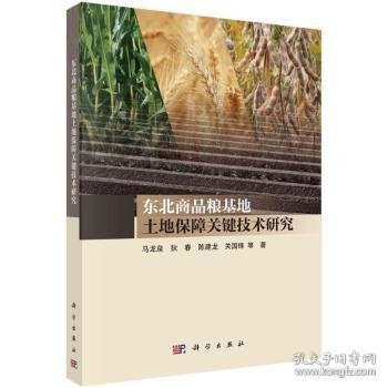 点击查看原图 东北商品粮基地土地保障关键技术研究