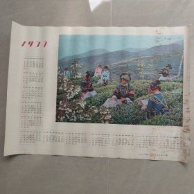 1977年年历画 春到凉山