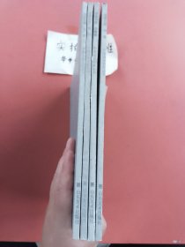 油画名家：刘雷、盛伟、刘斐、郑鲁青（共4本）1.4kg