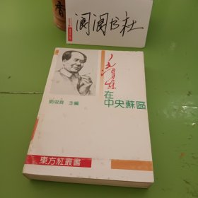 毛泽东在中央苏区