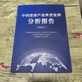 中国能源产业典型案例分析报告2022