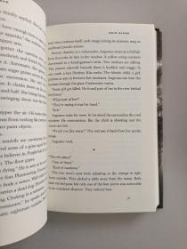 SKIN RIVER:A NOVEL(皮肤河）