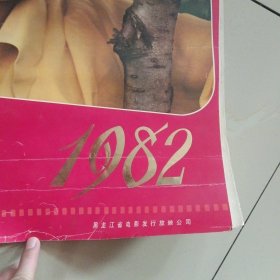 1982年明星挂历（13张全）