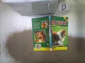 苏格兰牧羊犬