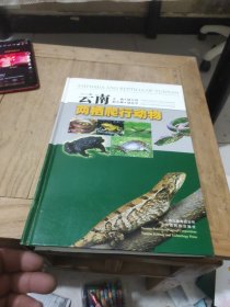 云南两栖爬行动物(作者鉴名)