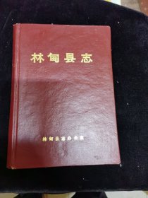 林甸縣志