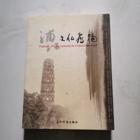 浦江 文化飞扬 陈少菲 五洲传播出版社 货号W2