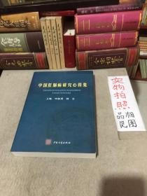 中国肛肠病研究心得集