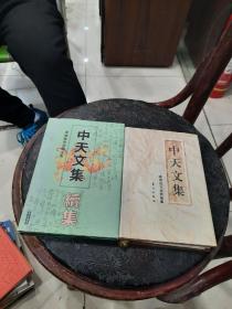 中天文集:陈福坡文史哲论丛，中天文集续集。