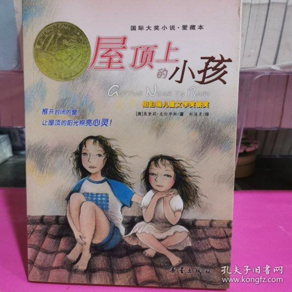 屋顶上的小孩