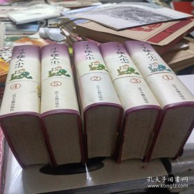 才子佳人小说集成 1-5 五册全