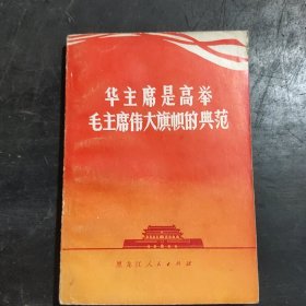 华主席是高举毛主席伟大旗帜的典范