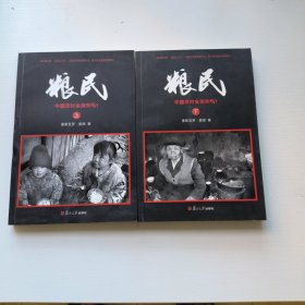 粮民：中国农村会消失吗？（上下）