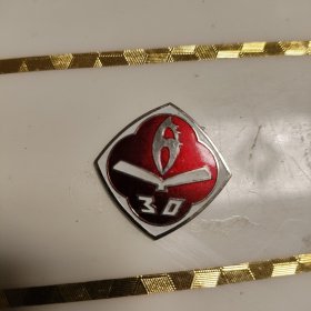 包头医学院校庆纪念章1958-1988