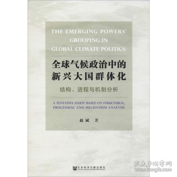 全球气候政治中的新兴大国群体化——结构、进程与机制分析