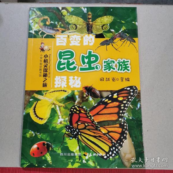 小机灵探秘之旅--百变的昆虫世界探秘