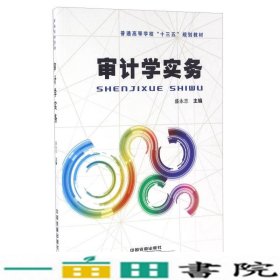 审计学实务盛永志中国铁道出9787113217846