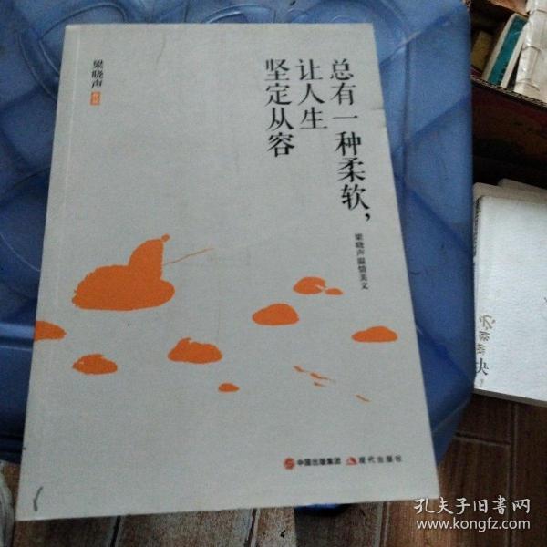 总有一种柔软，让人生坚定从容（梁晓声朗读者节目颂读《慈母情深》，全文呈现）