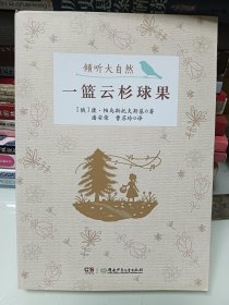 一篮云杉球果