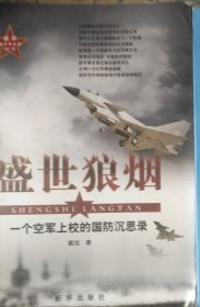 盛世狼烟：一个空军上校的国防沉思录