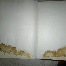 溧阳县志译本 精装 16开，前有黑白图36幅 内页无涂画破损底部几页有沁入渍痕如图