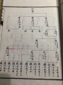 井研胡氏族谱   品相如图
（民国25年编，朱印本，一册全）