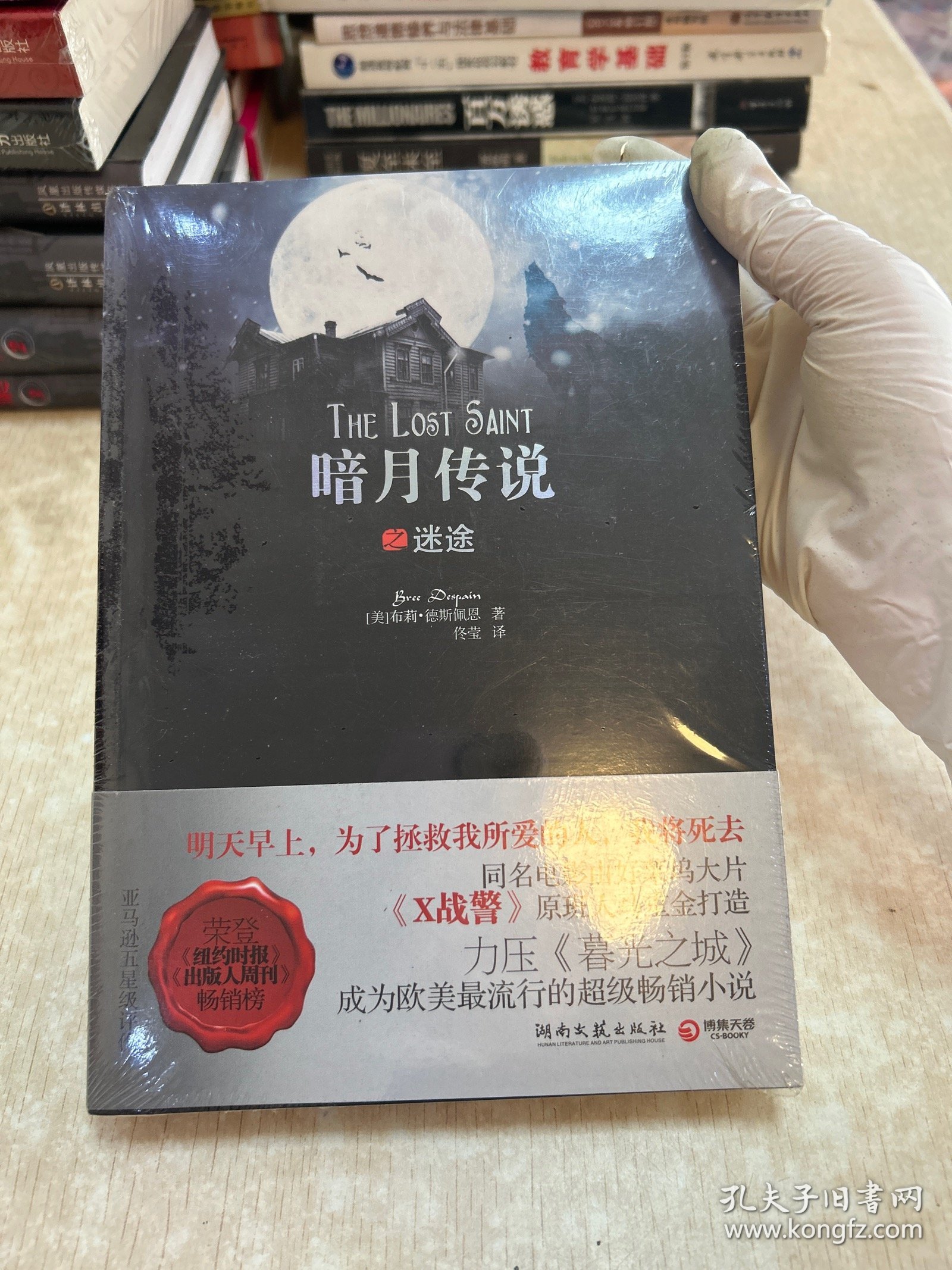 暗月传说之迷途