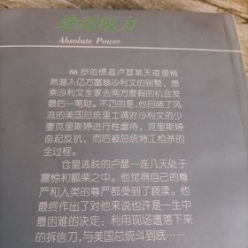 当代外国流行小说名著丛书《绝对权力》单本