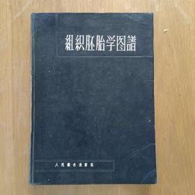 组织胚胎学图谱