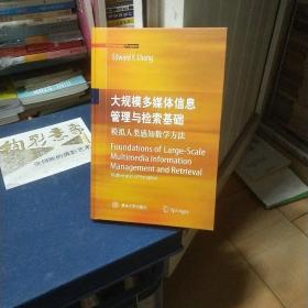 大规模多媒体信息管理与检索基础（英）：模拟人类感知数学方法