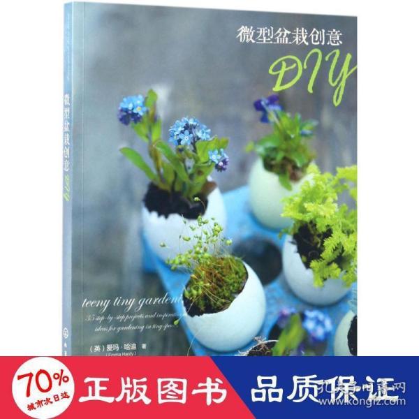 微型盆栽创意DIY