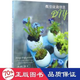 微型盆栽创意DIY